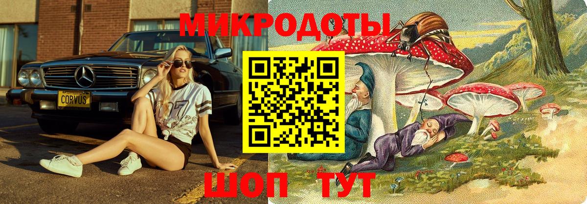 где купить наркоту  Галлюциногенные грибы MAGIC MUSHROOMS  Галлюциногенные грибы Psilocybine cubensis  Вход с VPN  Междуреченск 